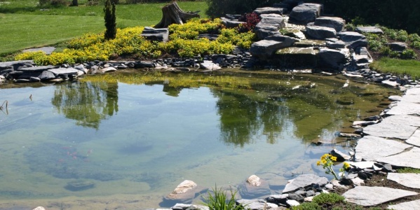 Wasser im Garten